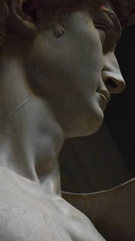Michelangelo's David Hero 