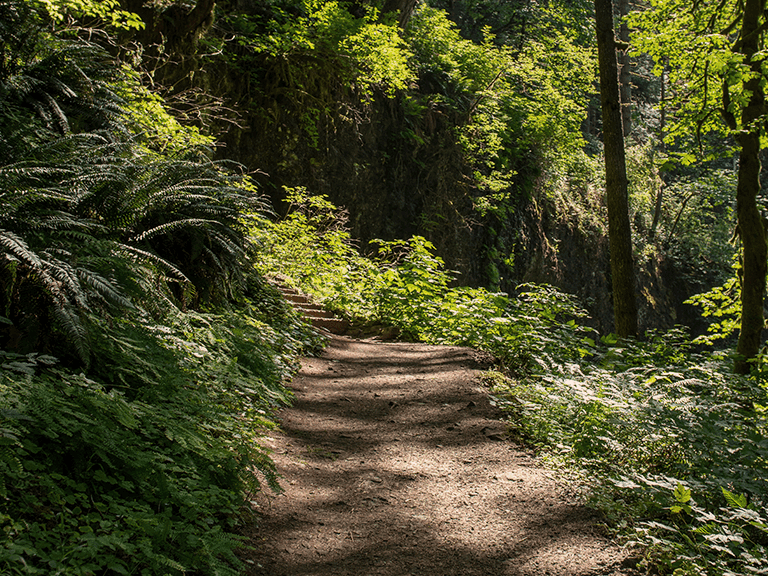 Bhutan, Hiking Trail