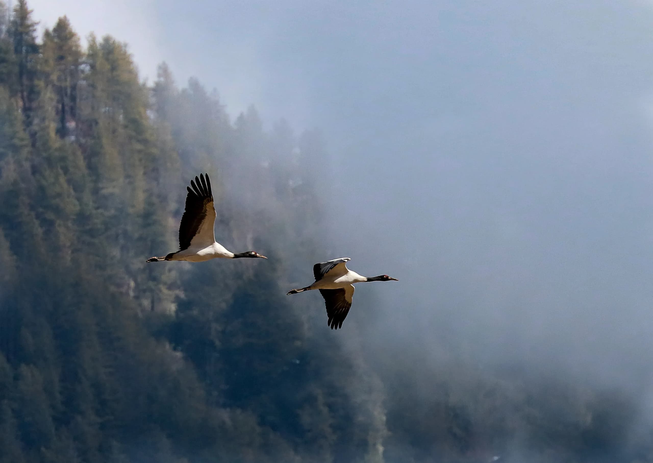 Bhutan Off Grid Winter
