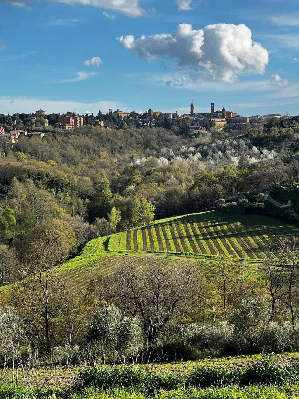 Umbria