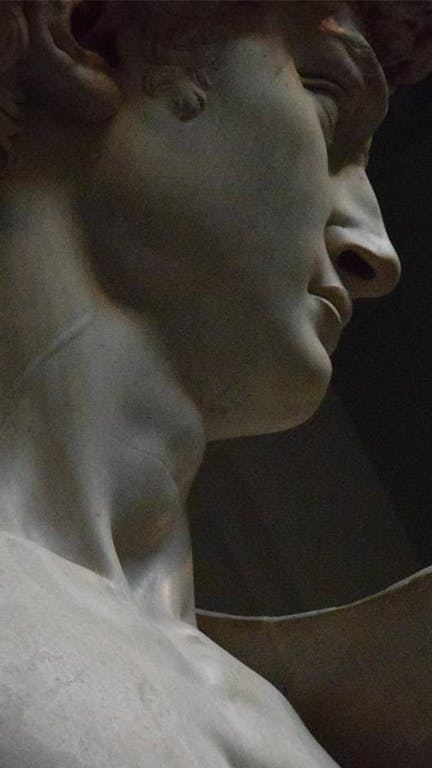 Michelangelo's David Hero 