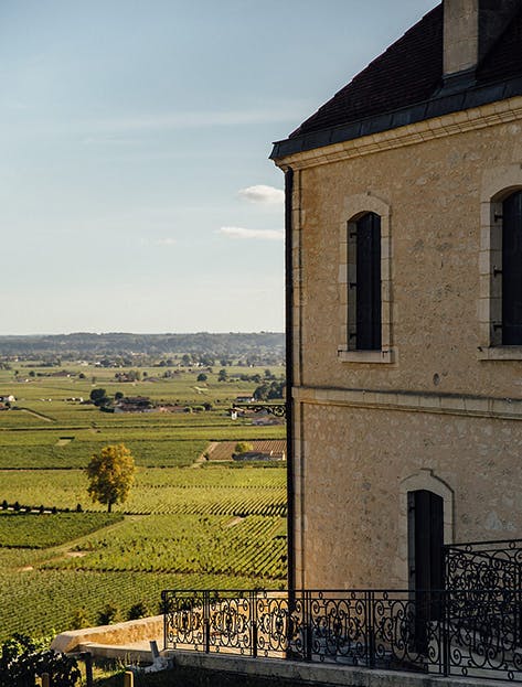 Chateau overlooking vineyard