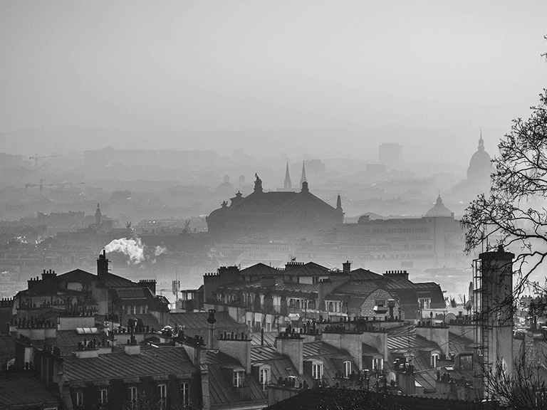 Parisian rooftops, France