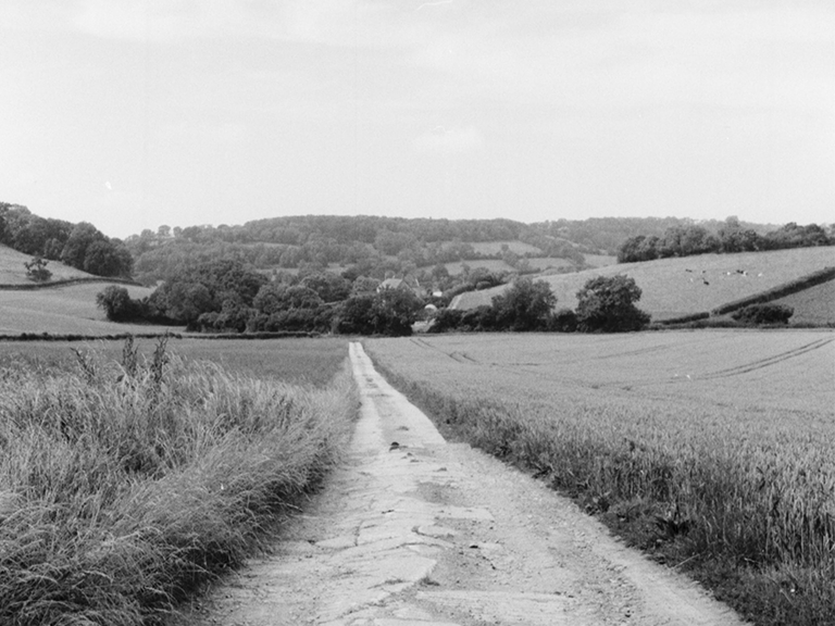 Somerset countryside lane 