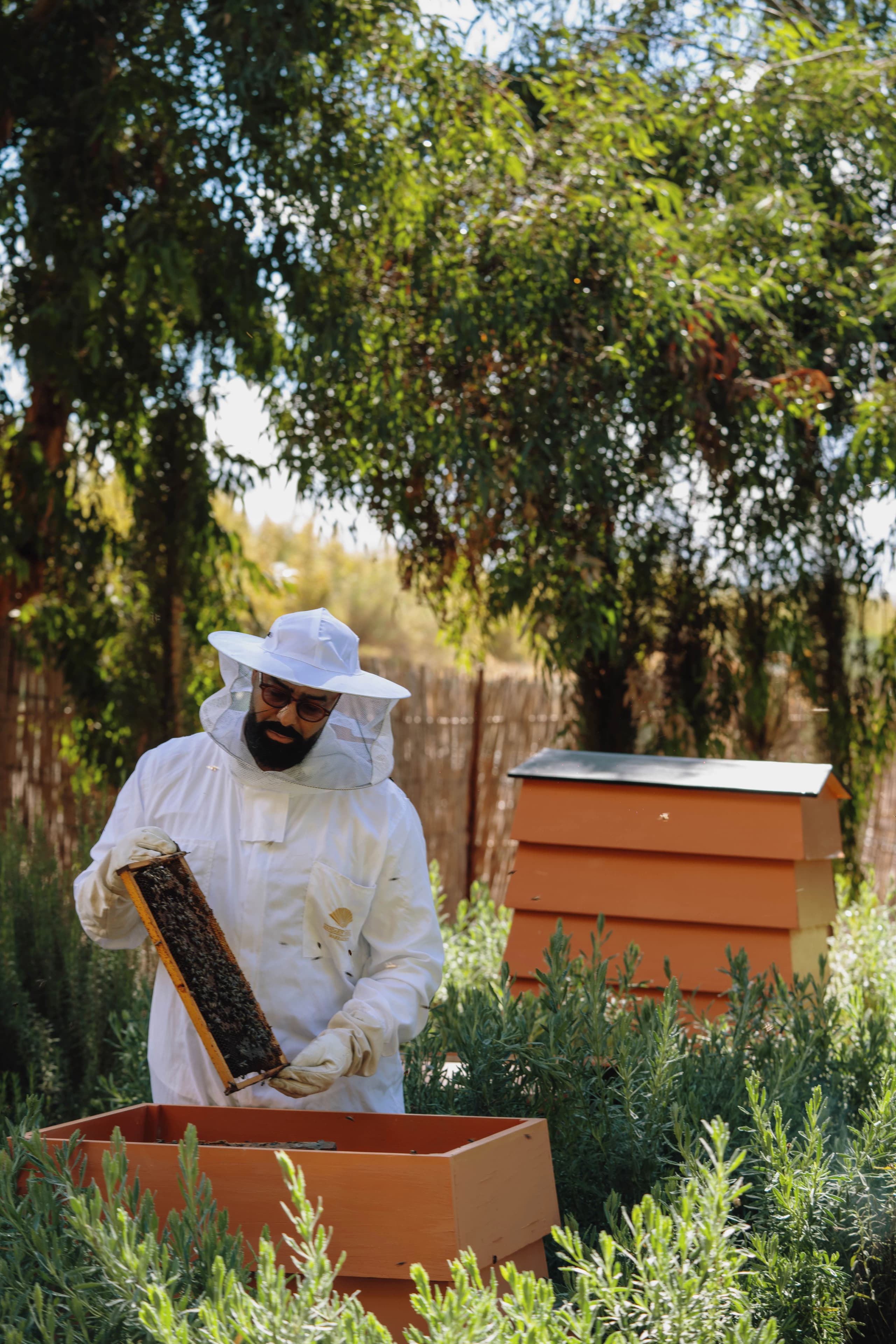 MO Marrakech Beekeeping Experience MO Marrakech Beekeeping Experience