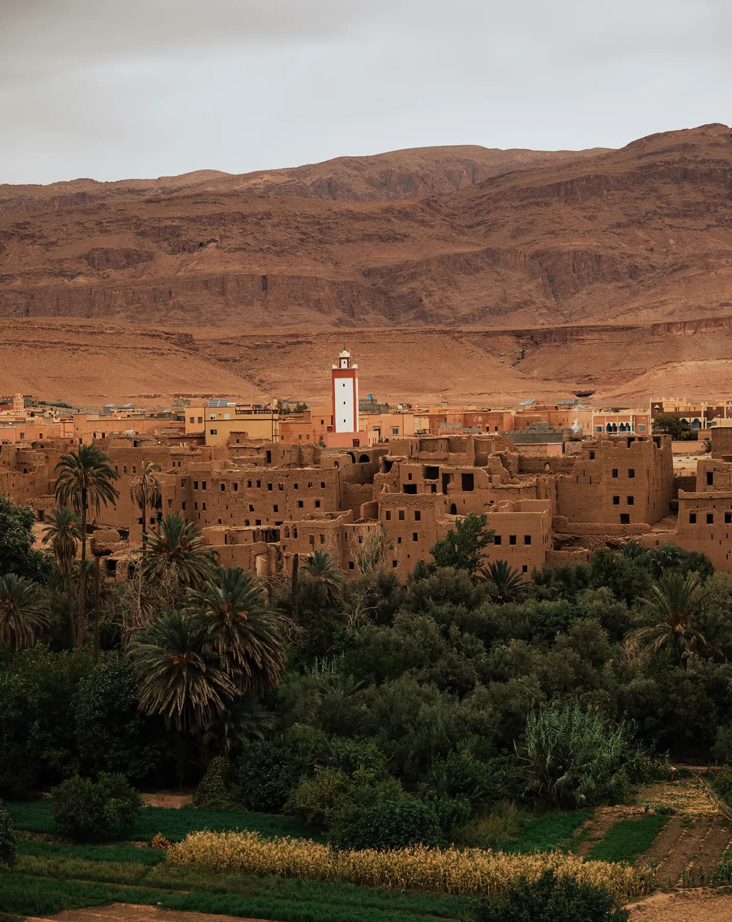 Marrakech Purpose Marrakech Purpose