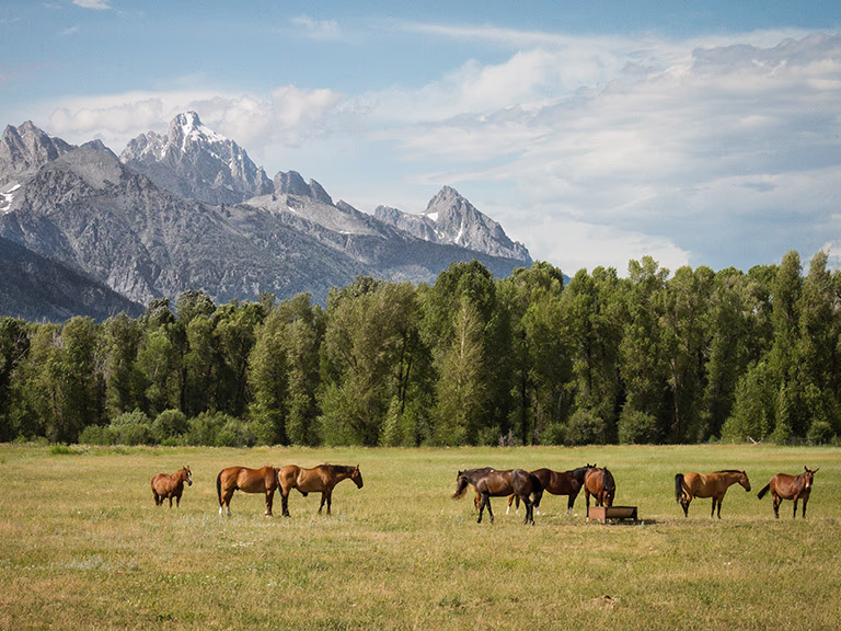 Wyoming landscape, USA Wyoming landscape, USA