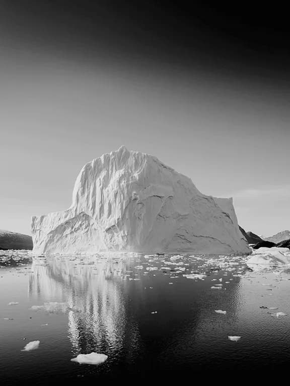 antarctica antarctica