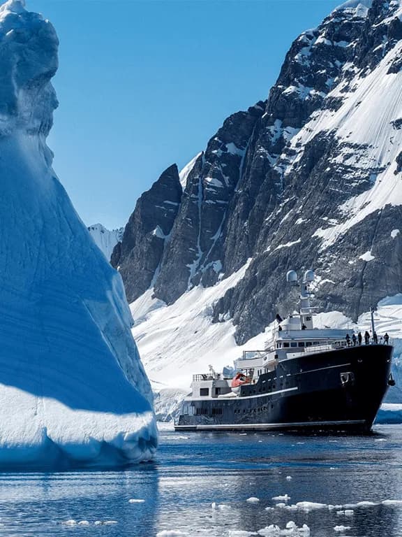 antarctica antarctica
